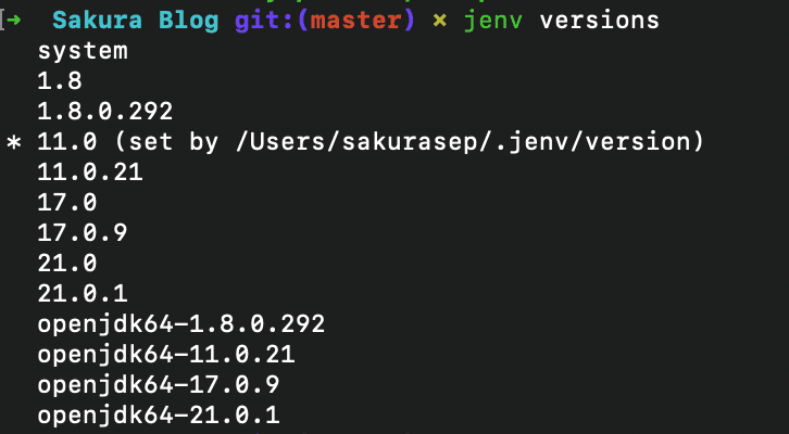 image-20240107110237955